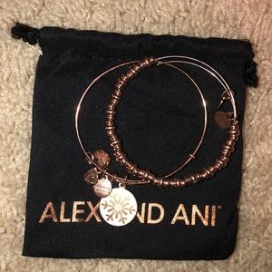Alex & Ani Winter Set